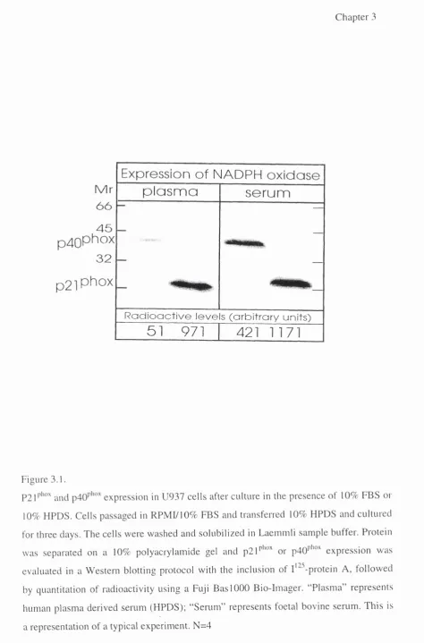 Figure 3.1.and 
