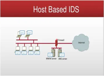 Fig. 1. Network based IDS 