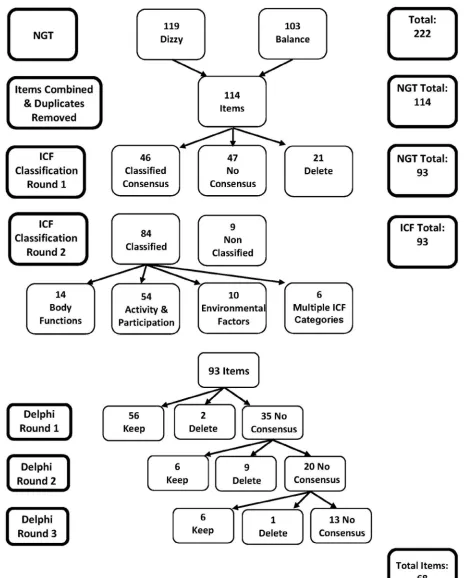 Figure 2 Model of item analysis.Abbreviations: ICF, International Classification of Functioning, Disability, and Health; NGT, nominal group technique.