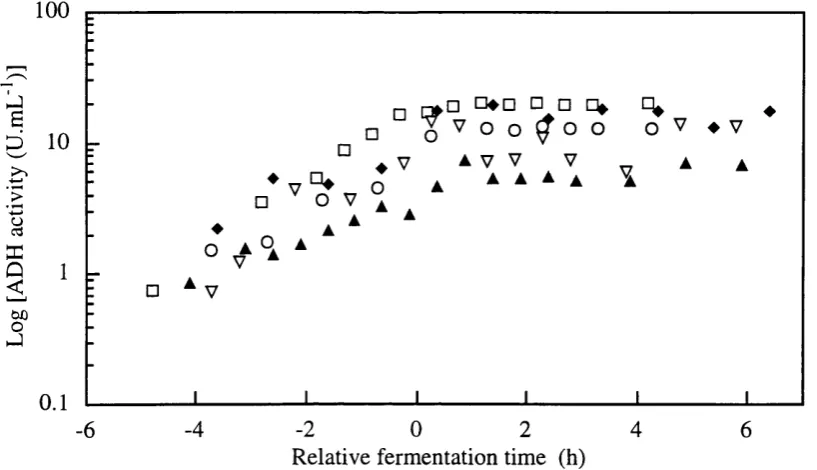 Figure 3.4-h ADH enzyme activity (U/g DCW) profiles from single batches withdefined medium SBDl - □ -, SBD2 - o -, SBD3 - a -, SBD4 - ♦ -, and RBD2-1 - V -.