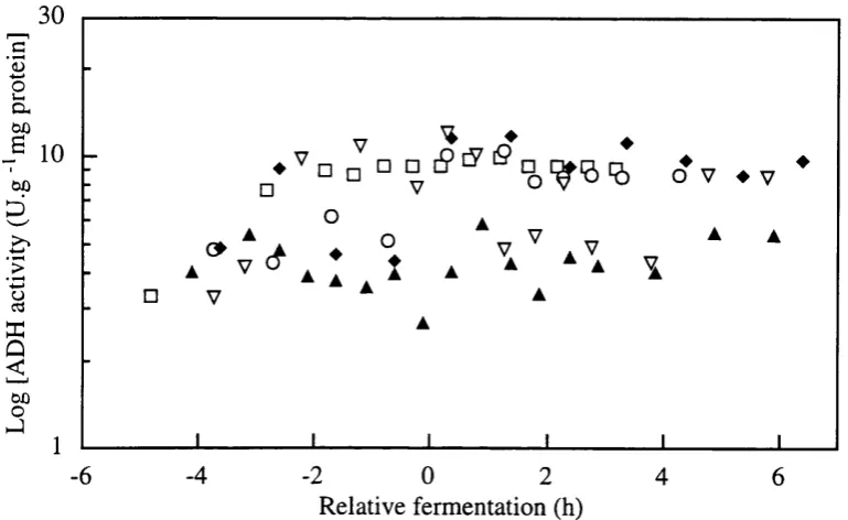 Figure 3.4-j G6PDH enzyme activity (U/mL) profiles from single batches with definedmedium SBDl - □ -, SBD2 - o -, SBD3 - a  -, SBD4 - ♦ -, and RBD2-1 - v -.