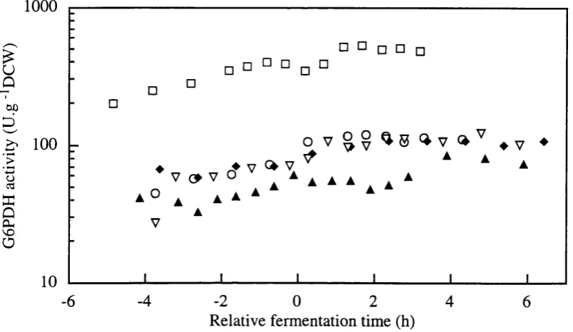 Figure 3.4-1 G6PDH enzyme activity (U/mg protein) profiles from single batches withdefined medium SBDl - □ -, SBD2 - o -, SBD3 - a  -, SBD4 - ♦ -, and RBD2-1 - V -.