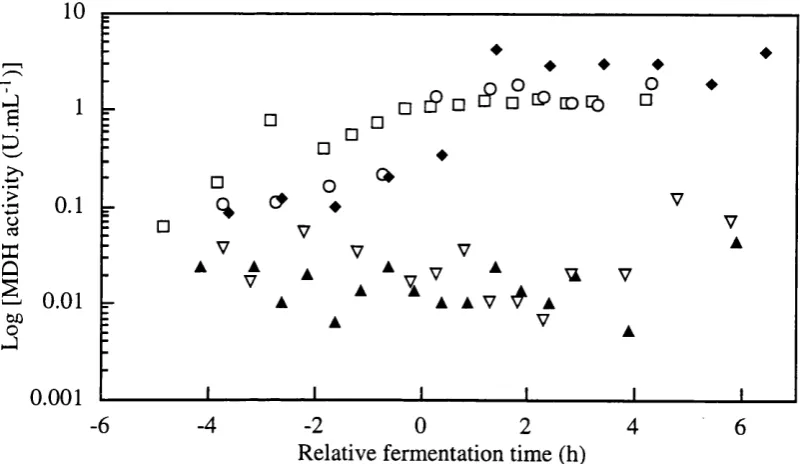 Figure 3.4-n MDH enzyme activity (U/g DCW) profiles from single batches withdefined medium SBDl - □ -, SBD2 - o  -, SBD3 - a  -, SBD4 - ♦ and RBD2-1 - V -.