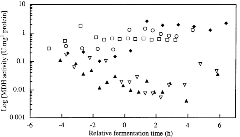 Figure 3.4-p Hexokinase enzyme activity (U/mL) profiles from single batches withdefined medium SBD3 - a  -, SBD4 - ♦ -, and RBD2-1 - V -.