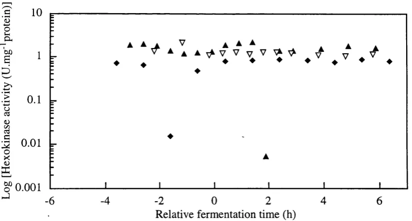 Figure 3.4-q Hexokinase enzyme activity (U/g DCW) profiles from single batches with defined medium SBD3 - a -, SBD4 - ♦ and RBD2-1 - V -.
