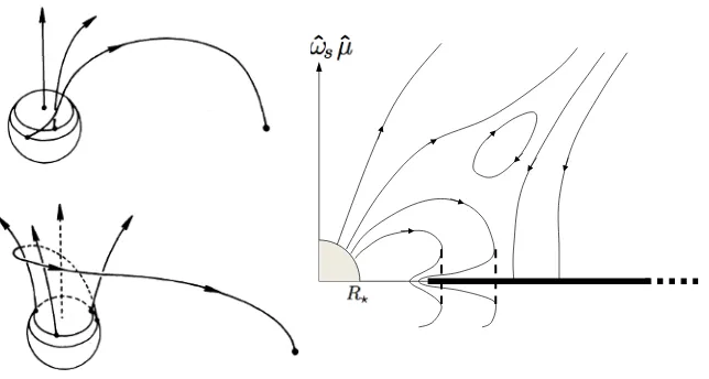 Figure 2. Left: Magnetic ﬁeld lines linking the star and disk are twisted by diﬀerential rotation (Aly & Kuijpers1990)