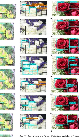 Fig. 14. Performance of Object Detection models for flower30 dataset using Faster RCNN using (a) Inception ResNet V2, (b) Inception V2, (c) ResNet 50, (d) ResNet 101, (e) NAS, (f) SSD 