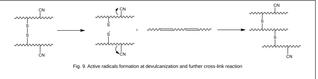 Fig. 9. Active radicals formation at devulcanization and further cross-link reaction 