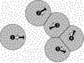 Figure 2The agents are numbered by black circles with white arrowsindicating the directions of their goals