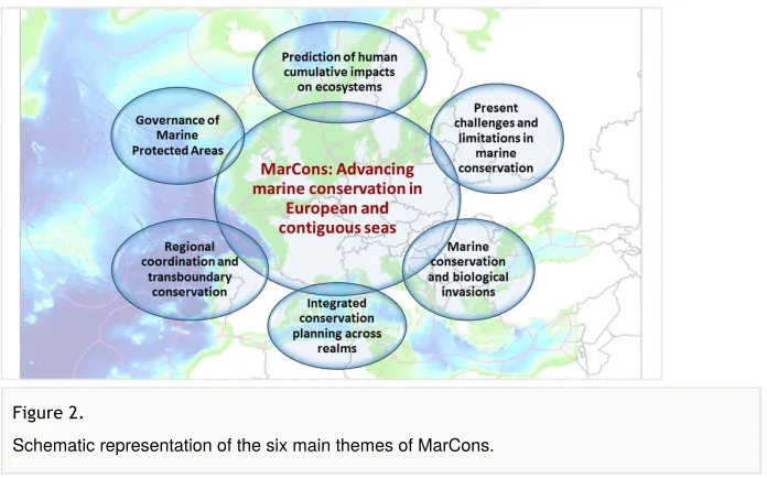 Figure 2. Schematic representation of the six main themes of MarCons.