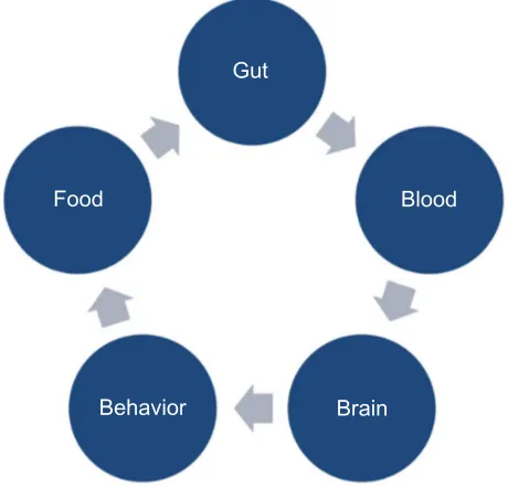 Figure 3 Gut to behavior cycle.Note: Cycle of pathophysiological influences: gut environment (immunological mucosa barrier integrity, enzymes, microbiome) is reflected in the blood as products of digestion having immunogenic, metabolic, toxic, or biologic opioid activity able to across the blood–brain barrier and influence behavior, subsequent eating behaviors, and food preferences which maintain food selectivity (gut–blood–brain–behavior–food cycle).