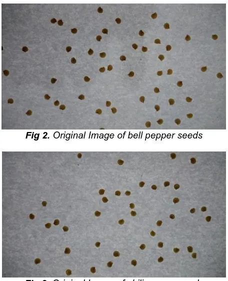 Fig 2. Original Image of bell pepper seeds  