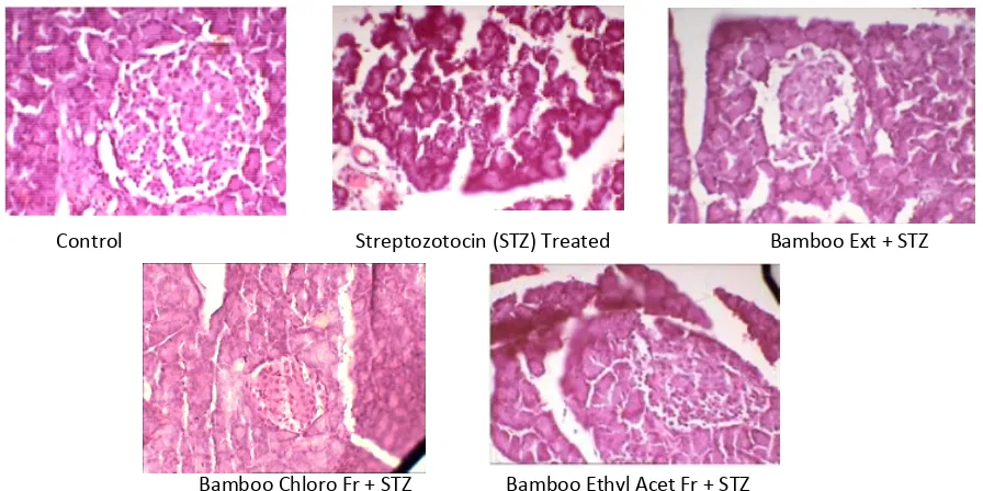 Figure III. Effect of ethanolic extract and chloroform fractions and ethyl acetate fraction of Bambusa on (A) SOD and (B) CAT activity in pancreas of diabetic rats