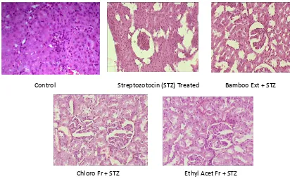 Figure V. Effect of Bamboo extract and its fractions on histopathological changes in liver of rats in which diabetes had been induced by STZ