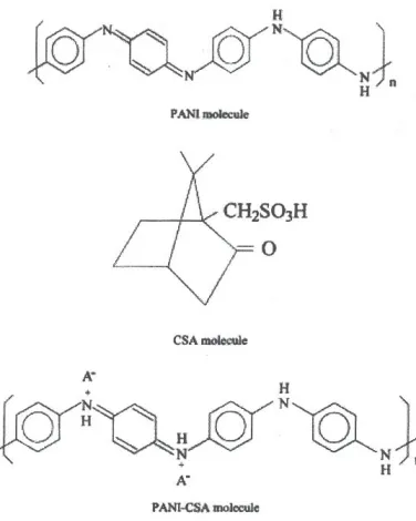 Fig. 1: The molecular structure ofPANI-CSA molecule