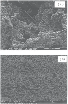 Fig. 7: Scanning electron microscopy photographs of a) PANI (EB);b) PANI-CSA (for 50% doping level)