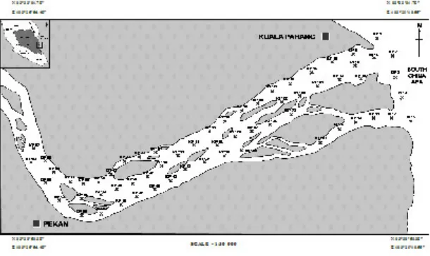 Fig. 1: Location of the study area along Pahang River- Estuary, Pahang