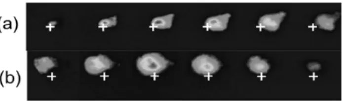 Figure 4. XFC images of the imploded core plasma obtained in (a) 9-beam implosions and (b) 12-beam implosions