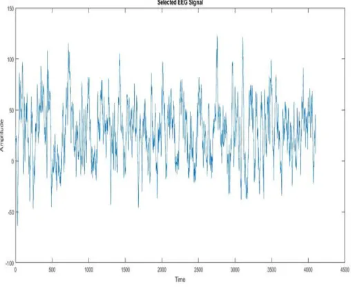 Figure. 2.1 Selected EEG Signal 
