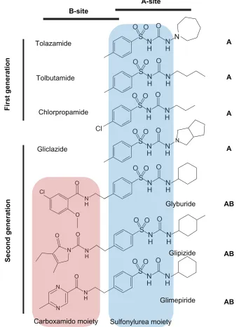 Figure 6 Structures and binding-site classification of clinically used sulfonylurea drugs.