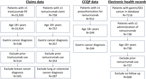 Figure 1 Flow chart of patient eligibility.