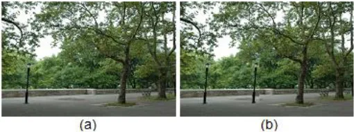 Fig. 1 An image copy-move forgery sample [2]: (a) original image and (b) forged image 