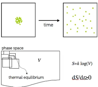 Figure 1. The behaviour of an isolated system with many microscopical degrees of freedom can give rise to amacroscopical time asymmetry: if the initial state is prepared in such a way to occupy a small volume in phase-space, the subsequent dynamical evolut