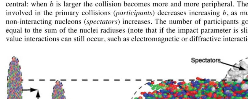 Fig. 3. Collision centrality 