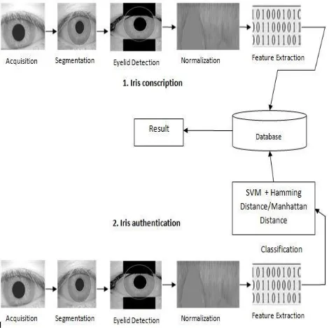 Fig. 1.Proposed iris recognition system frame work 
