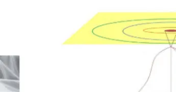 Figure 2. Schematic view of a Robertson-Walkerspace-time embedded in a ﬂat three-dimensionalmanifold; in this example the space is ﬁnite (likein a closed universe)