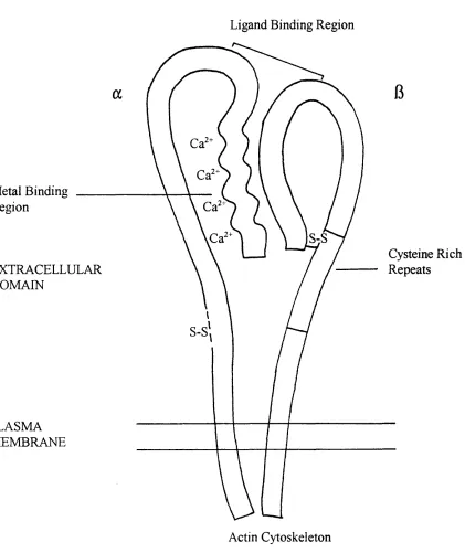 Figure 1.2