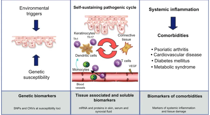 Figure 1 Psoriasis development: from genetic to comorbidities.Notes: Schematic representation of the development of psoriatic disease and of the self-sustaining pathogenic cycle in the derma