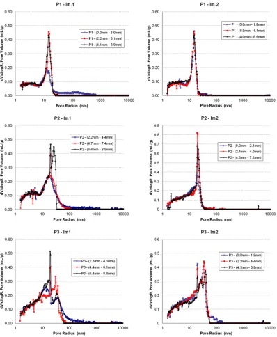 Fig. 9. MIP measurements for hardened cement pastes P1, P2, P2  immersed three months in solution 1 and 2, for three successive layers 