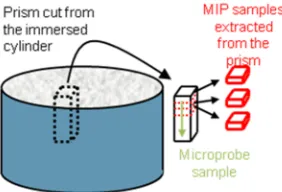 Fig. 7. Representation of Microprobe and MIP samples cut from an immersed cylinder 