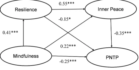Table 3 Group Differences Between Meditators and Non-Meditators in Mindfulness, Resilience, Inner Peace, and PNTP