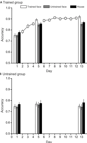 Figure 2 Accuracy results for the VWM task. (A) Average accuracy for each day of training and testing in the trained group