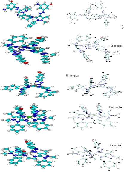 Fig. 4. Conformational Structure of ligand and their Complexes