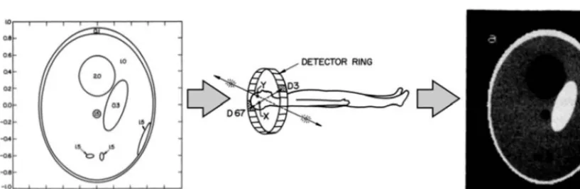 Figure 2. Scheme for the evolution of blurring and degradation of a two dimensional image using ﬁgures fromRef