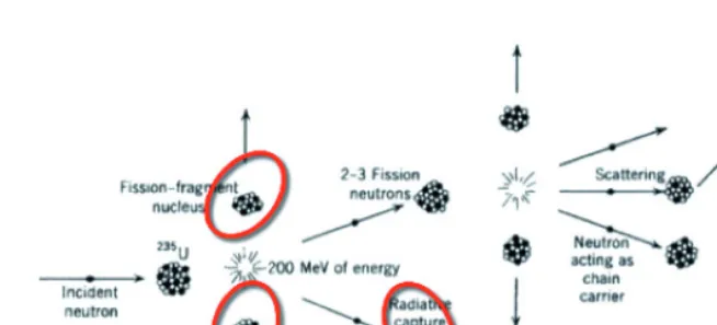 Fig. 3. – The nuclear ﬁssion chain reaction: energy released and nuclear waste generated.