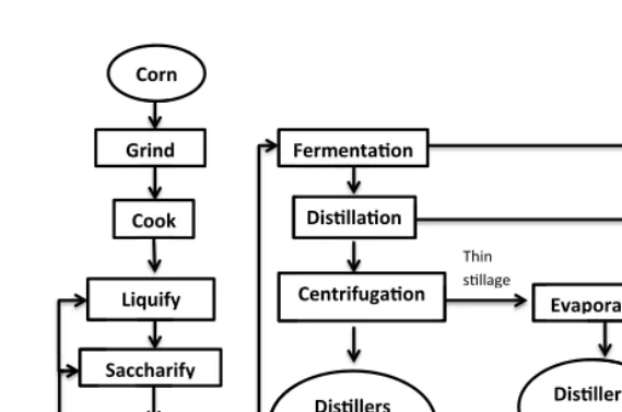 Fig. 6. – The dry-grind ethanol process [15].