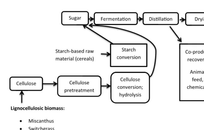 Fig. 8. – Ethanol production from cellulose, starch and sugarcane.Increased pretreatmentrequired for cellulose compared to starch and sugar [22].