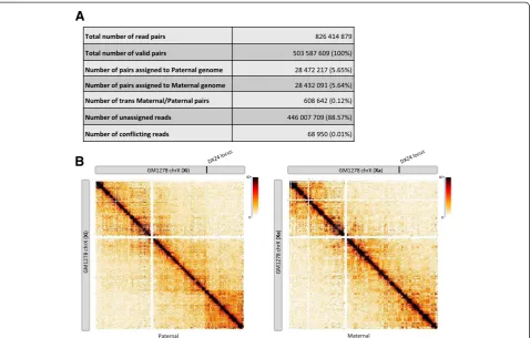 Fig. 2 Allele-specific analysis.chromosome of the GM12878 cell line at 500-kb resolution