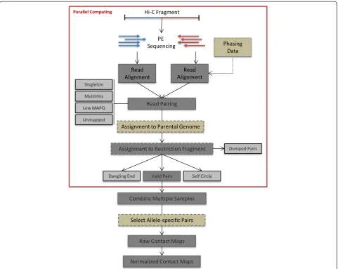 Fig. 3 HiC-Pro workflow. Reads are first aligned on the reference genome. Only uniquely aligned reads are kept and assigned to a restrictionfragment