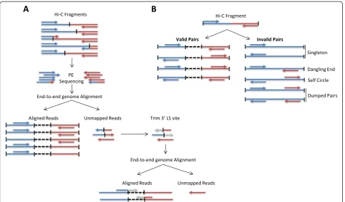Fig. 4 Read pair alignment and filtering. a Read pairs are first independently aligned to the reference genome using an end-to-end algorithm