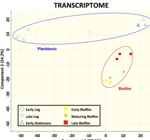 FIG 1 Clustering of biofilm and planktonic samples based on transcriptomic data. Data representPCA plot represents 1,781 genes for which expression values were available