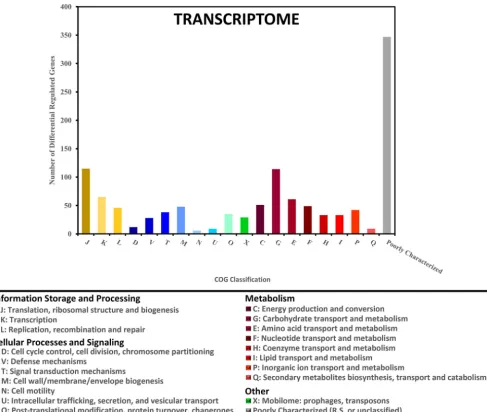 FIG 2 Characterization of differentially expressed genes based on their COG classification