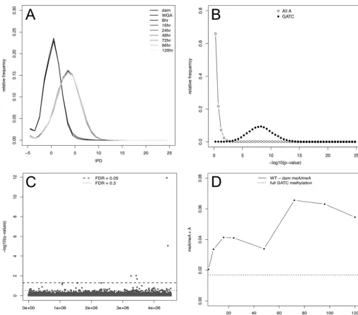 FIG 1 Virtually all GATC sites are methylated across time pointscomparing the 8-h time point with the