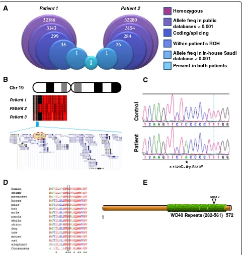 Fig. 1 Two families with primary infertility link to a mutation indSequence data were acquired on NCBI-BLAST then collated using Multalin [28].that make up most of the proteinred indicating heterozygosity and black homozygosity