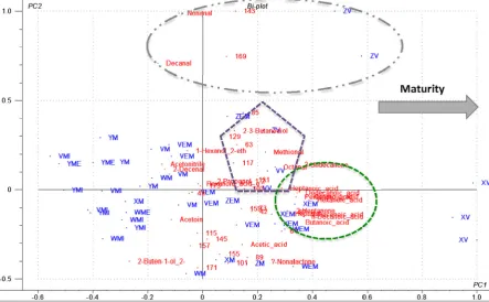 Fig. 2. Principal components analysis (PCA) biplot on the different types of ‘calibration’ cheeses and static headspace obtained by GC–MS and APCI-MS analysis of the gratedCheddar cheeses