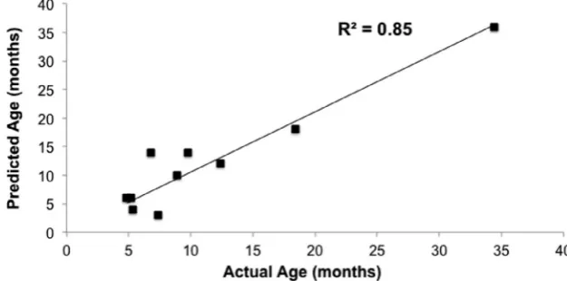 Fig. 5. Predictive age of Cheddar cheeses from model (labelled as ‘Predicted’) against age based on actual storage (labelled as ‘Actual’).